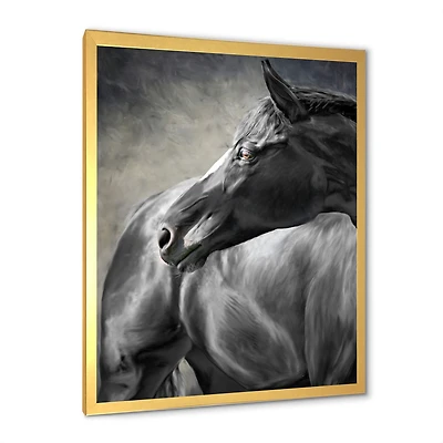 Portrait of A Black Horse  Canvas Wall Art Print