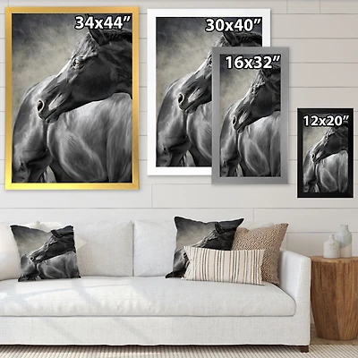 Portrait of A Black Horse  Canvas Wall Art Print
