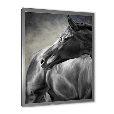 Portrait of A Black Horse  Canvas Wall Art Print