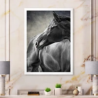 Portrait of A Black Horse  Canvas Wall Art Print