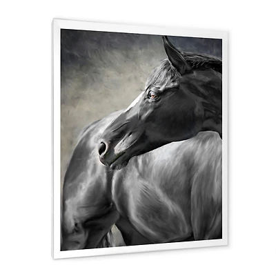 Portrait of A Black Horse  Canvas Wall Art Print