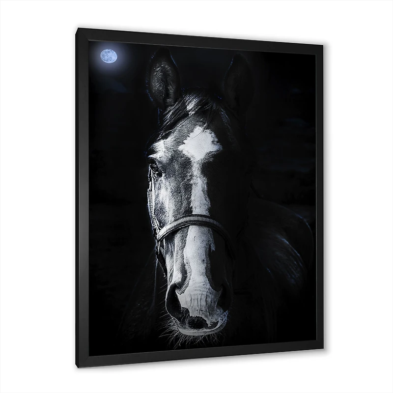 Horse Staring Sinister  Wall Art