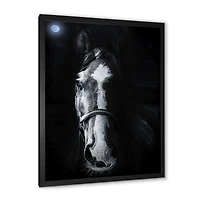 Horse Staring Sinister  Wall Art