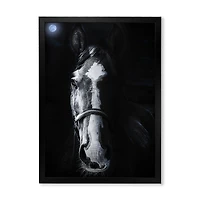 Horse Staring Sinister  Wall Art