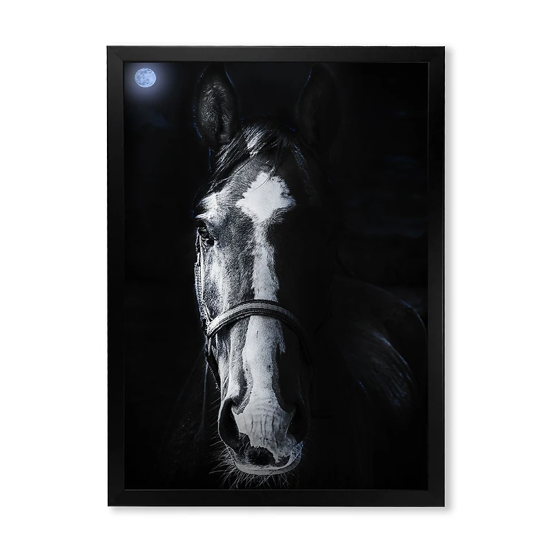 Horse Staring Sinister  Wall Art