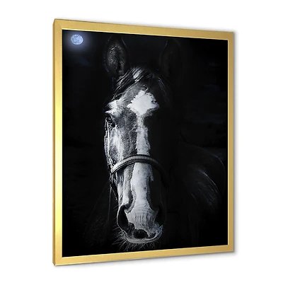 Horse Staring Sinister  Wall Art