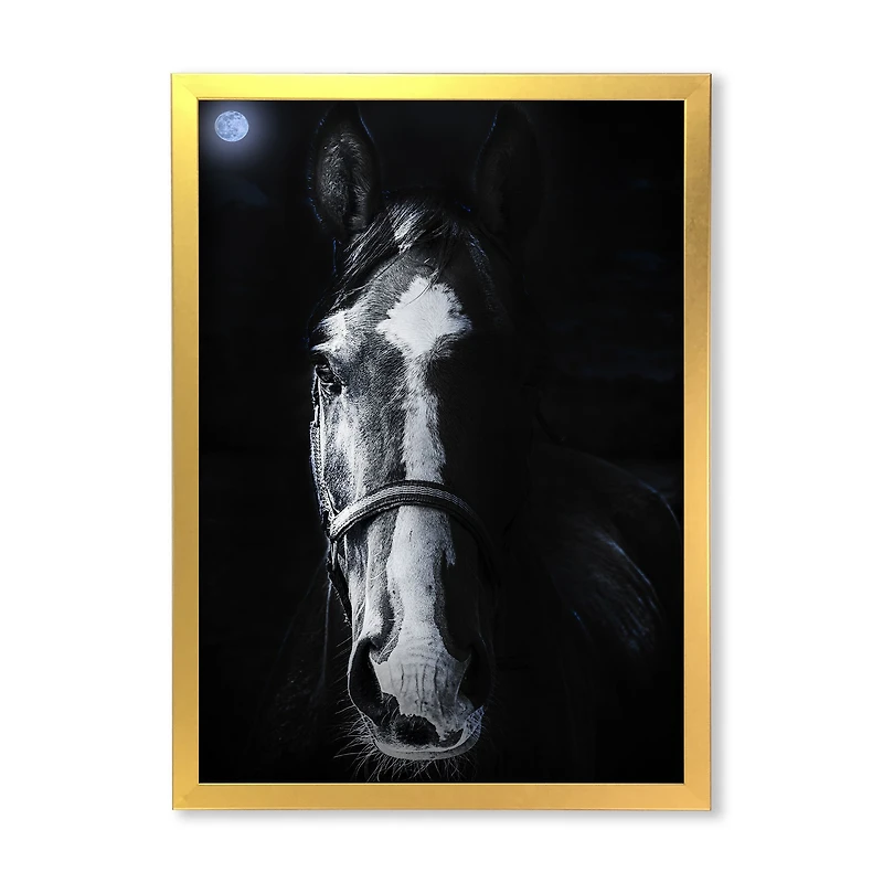 Horse Staring Sinister  Wall Art