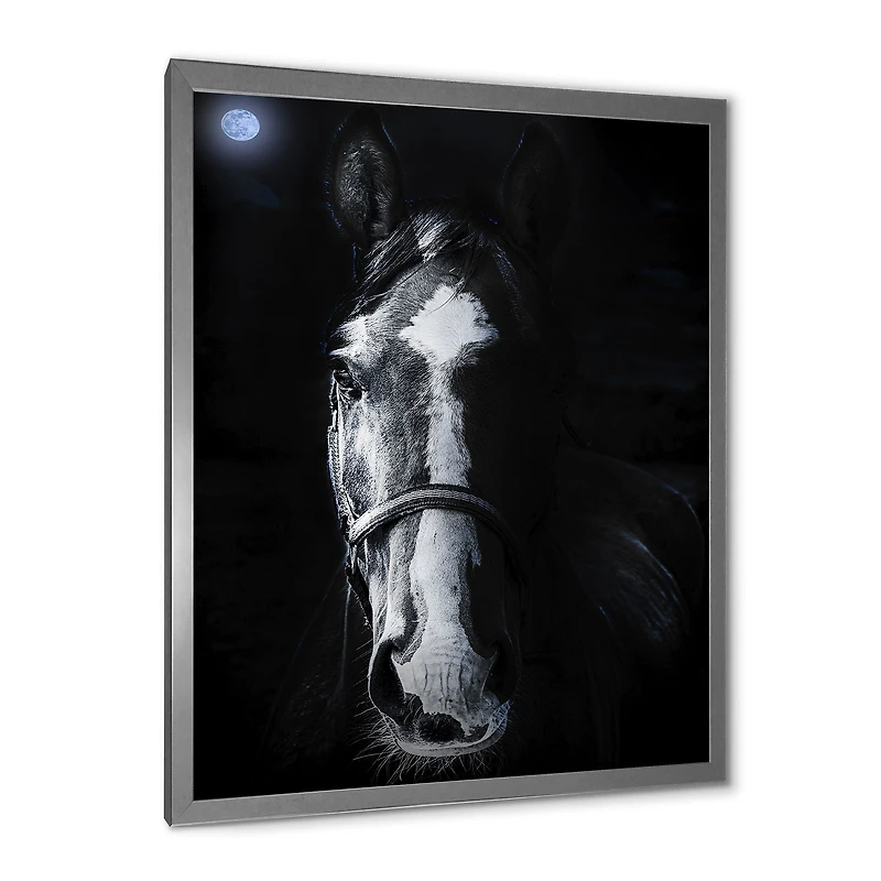 Horse Staring Sinister  Wall Art