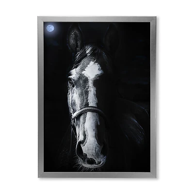 Horse Staring Sinister  Wall Art