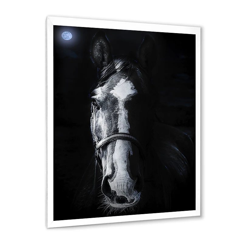Horse Staring Sinister  Wall Art