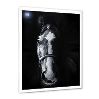 Horse Staring Sinister  Wall Art