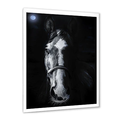 Horse Staring Sinister  Wall Art