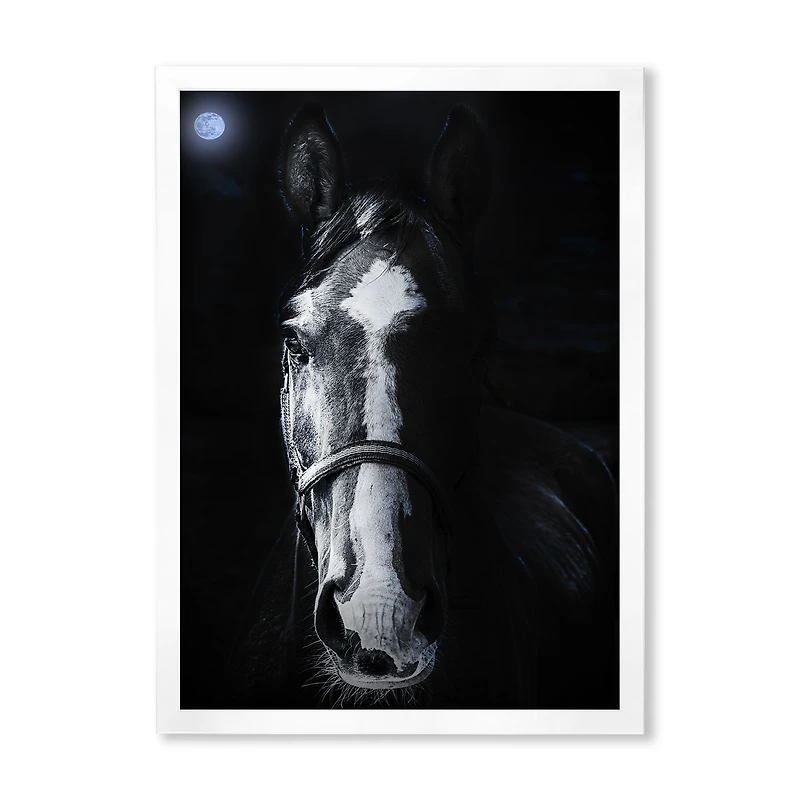 Horse Staring Sinister  Wall Art