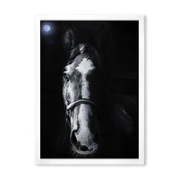 Horse Staring Sinister  Wall Art