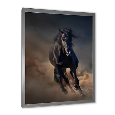 Portrait of Thoroughbred Nonius Stallion Horse I  Wall Art
