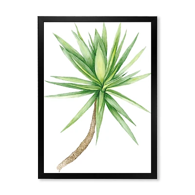 Detail of Yucca Tree Canvas Wall Art Print
