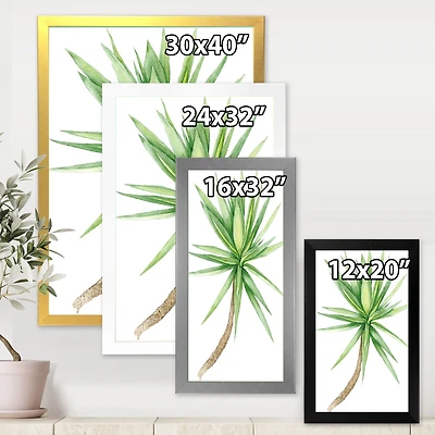 Detail of Yucca Tree  Canvas Wall Art Print