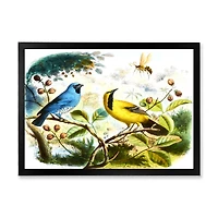 Blue and Yellow Bird The Wild  Canvas Wall Art Print