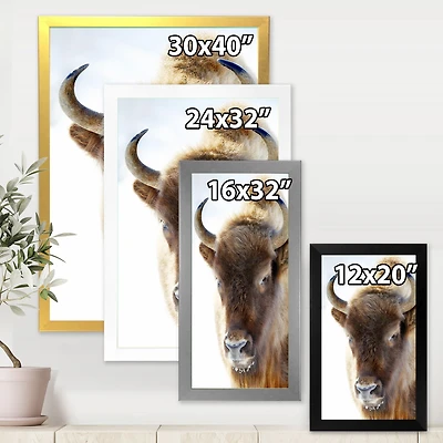 Portrait of Wild Bison Canvas Wall Art Print