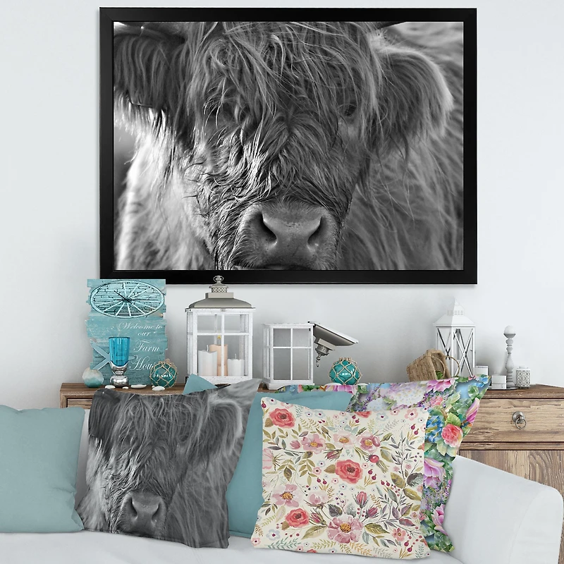 Scottish Highland Cows Living on Moorland Wall Art