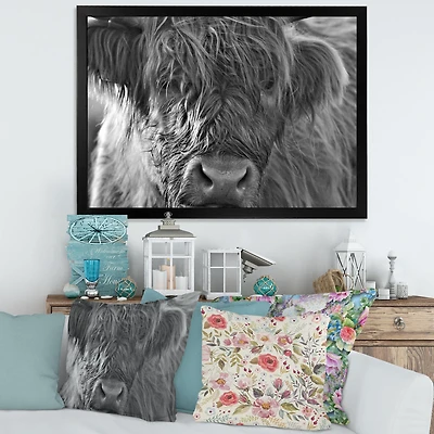 Toile imprimée « Scottish Highland Cows Living on Moorland »