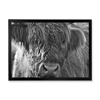 Scottish Highland Cows Living on Moorland Wall Art
