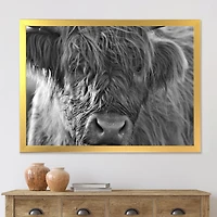Scottish Highland Cows Living on Moorland Wall Art