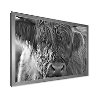 Scottish Highland Cows Living on Moorland Wall Art