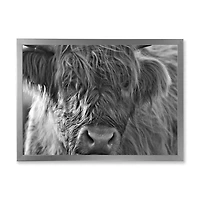 Scottish Highland Cows Living on Moorland Wall Art