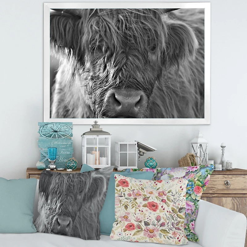 Scottish Highland Cows Living on Moorland Wall Art