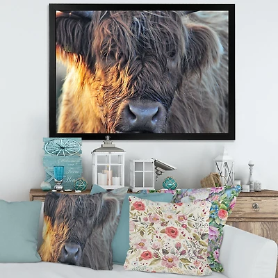 Scottish Cow on Moorland III  Canvas Wall Art Print