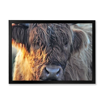 Scottish Cow on Moorland III  Canvas Wall Art Print