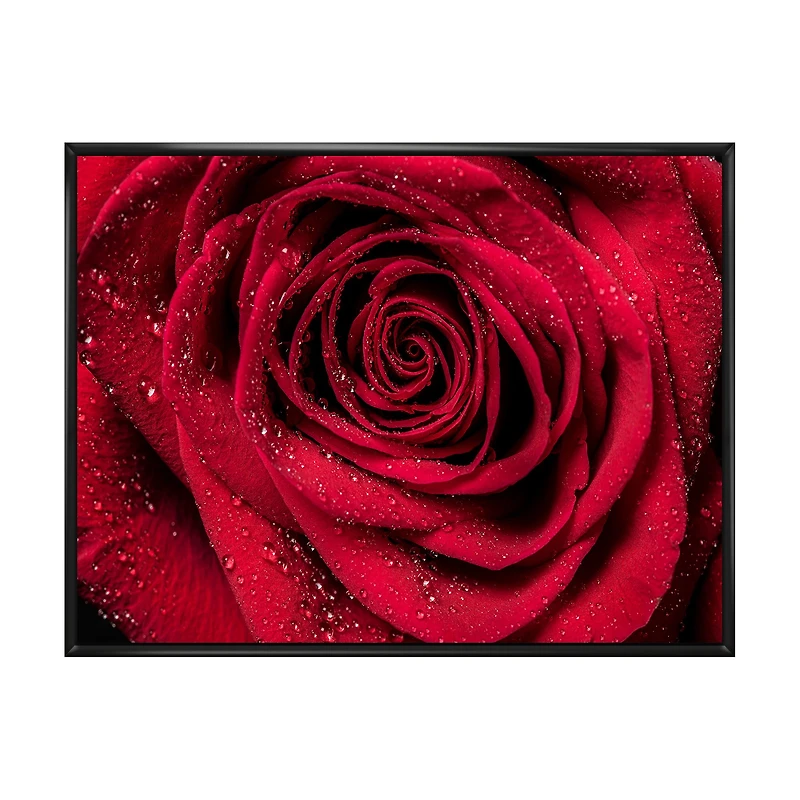 Red Rose Petals with Rain Droplets Canvas Art Print