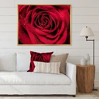 Red Rose Petals with Rain Droplets Canvas Art Print
