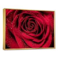 Red Rose Petals with Rain Droplets Canvas Art Print
