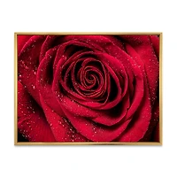 Red Rose Petals with Rain Droplets Canvas Art Print
