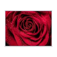 Red Rose Petals with Rain Droplets Canvas Art Print