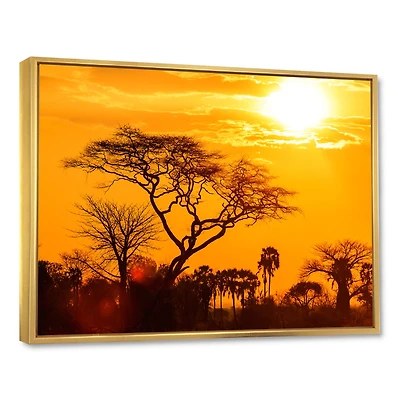 Orange Glow of African Sunset  Wall Art