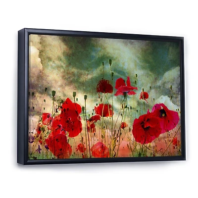 Wild Red Poppy Flowers Sky  Canvas Art Print