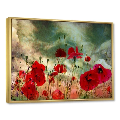 Wild Red Poppy Flowers Sky  Canvas Art Print