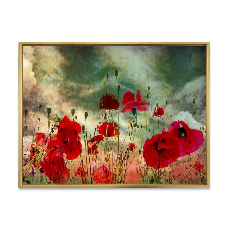 Wild Red Poppy Flowers Sky  Canvas Art Print