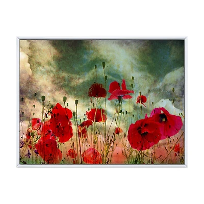 Wild Red Poppy Flowers Sky  Canvas Art Print