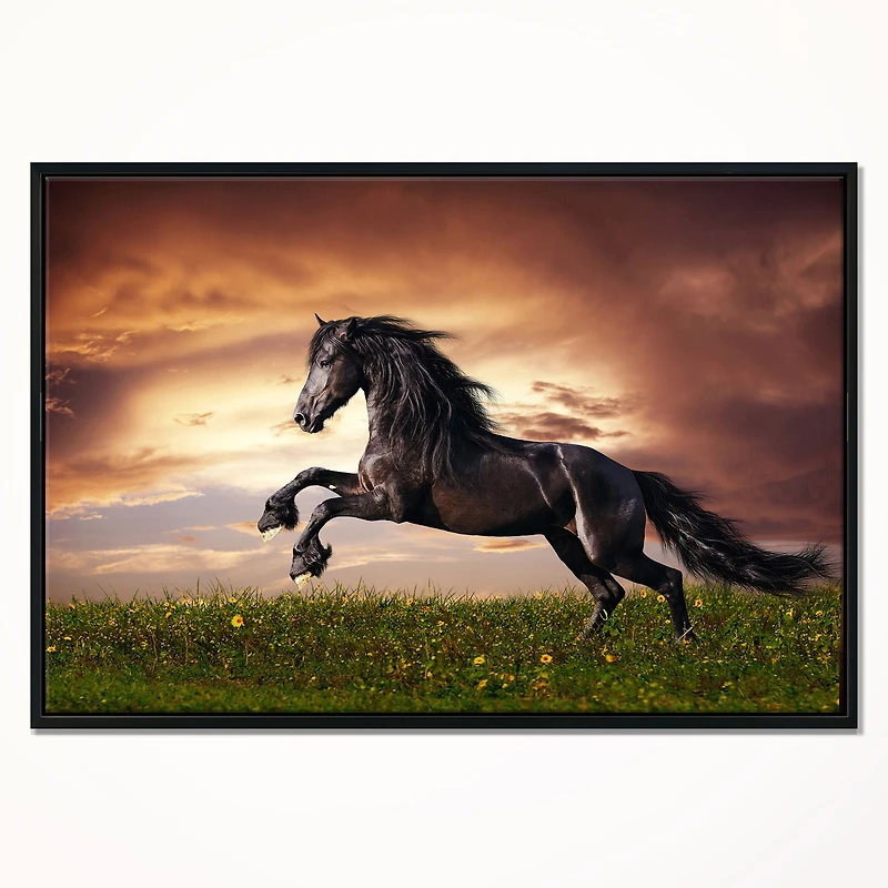 Black Friesian Horse Gallop Wall Art