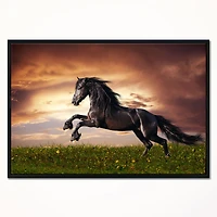 Black Friesian Horse Gallop  Wall Art