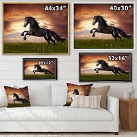 Black Friesian Horse Gallop  Wall Art