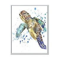 Blue Sea Turtle  Canvas Art Print