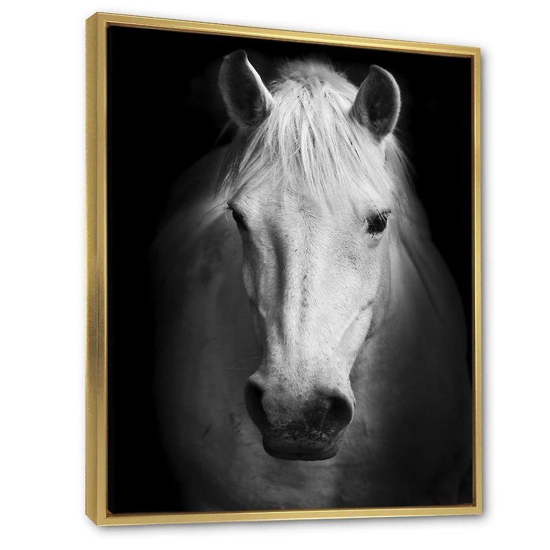White Horse Black and Wall Art