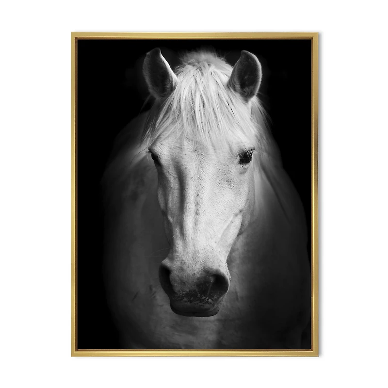 White Horse Black and Wall Art
