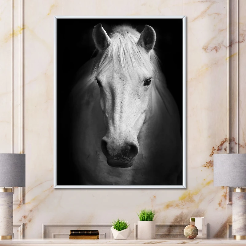 White Horse Black and Wall Art