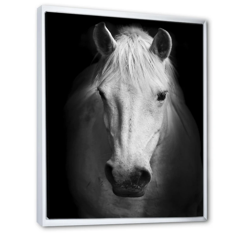 White Horse Black and Wall Art